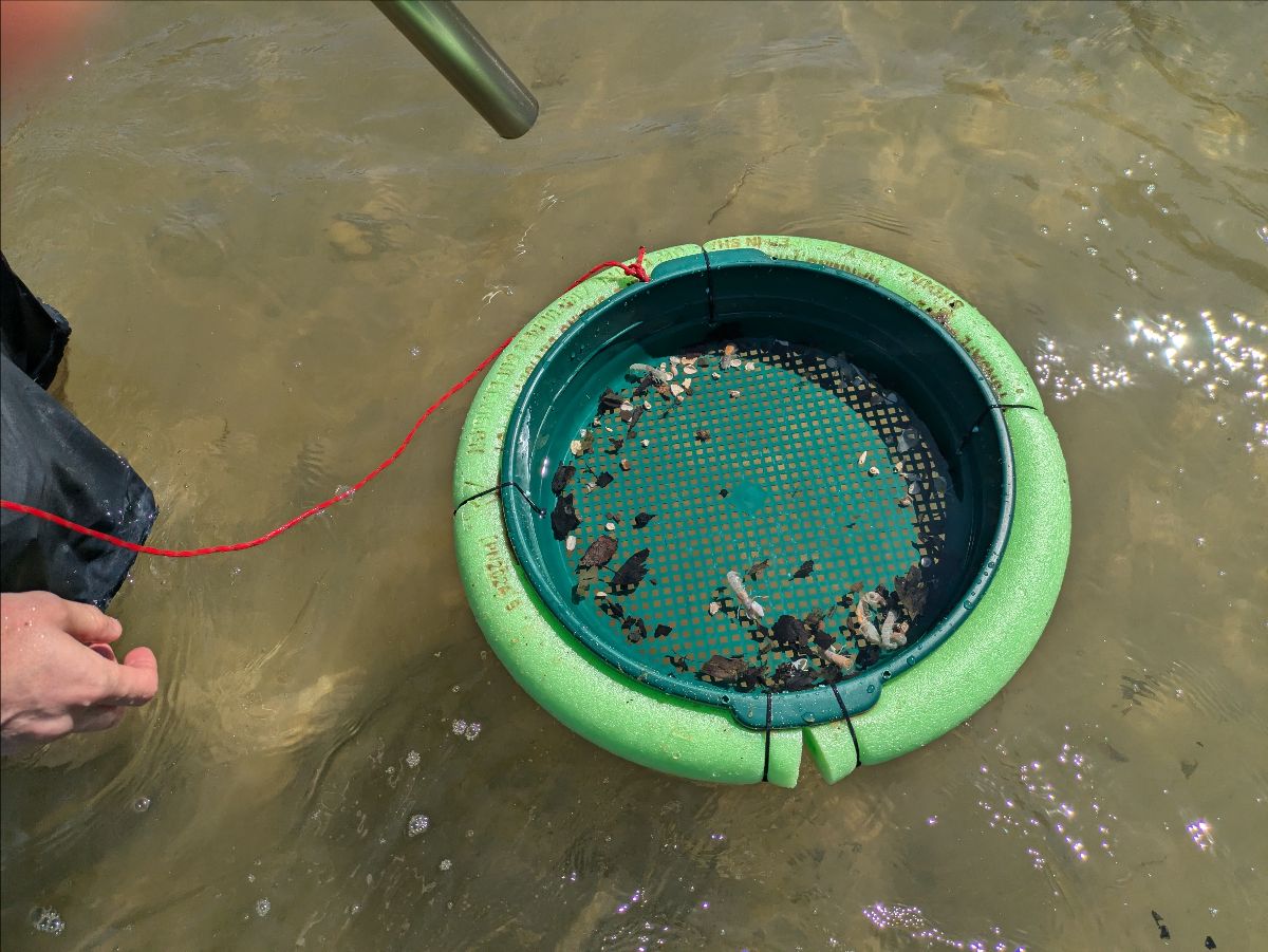 Holiday Fishing fishing photo 6