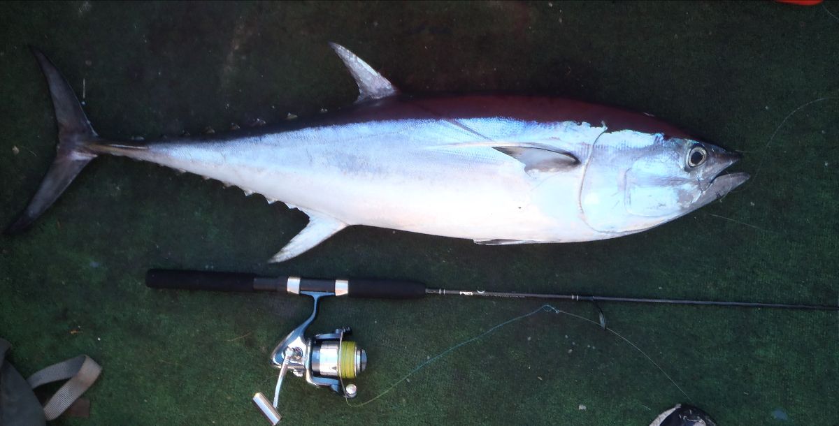 Holiday Fishing fishing photo 9