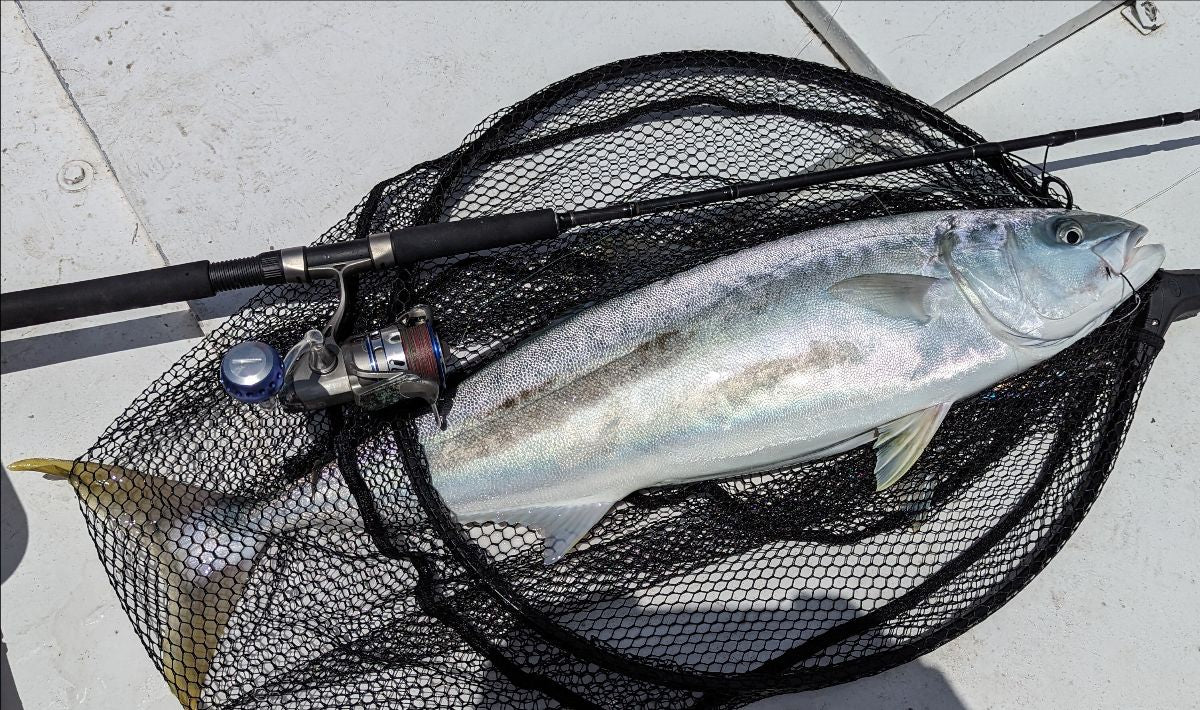 ‘I don’t think it’s that big, Andy!’ fishing photo 9