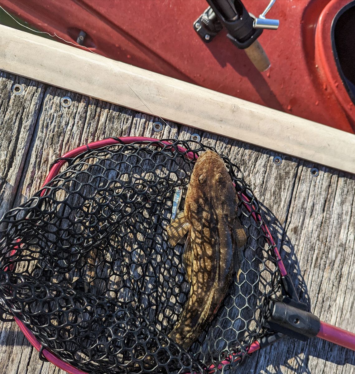 Jiggin' The Burley Trail fishing photo 6