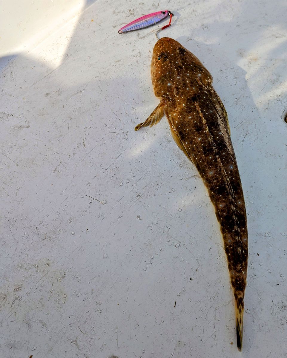 Jiggin' The Burley Trail fishing photo 7