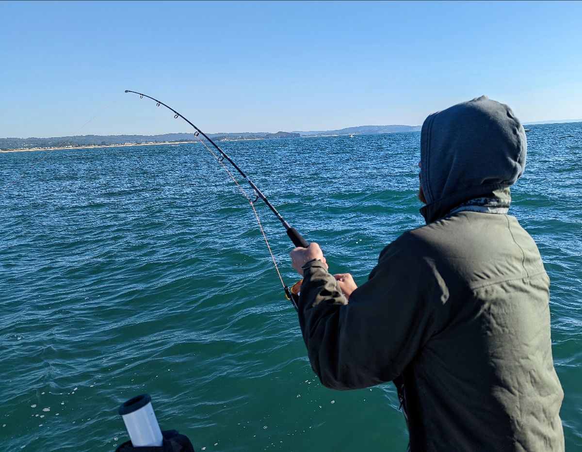Jiggin' the Disco Biscuit fishing photo 5