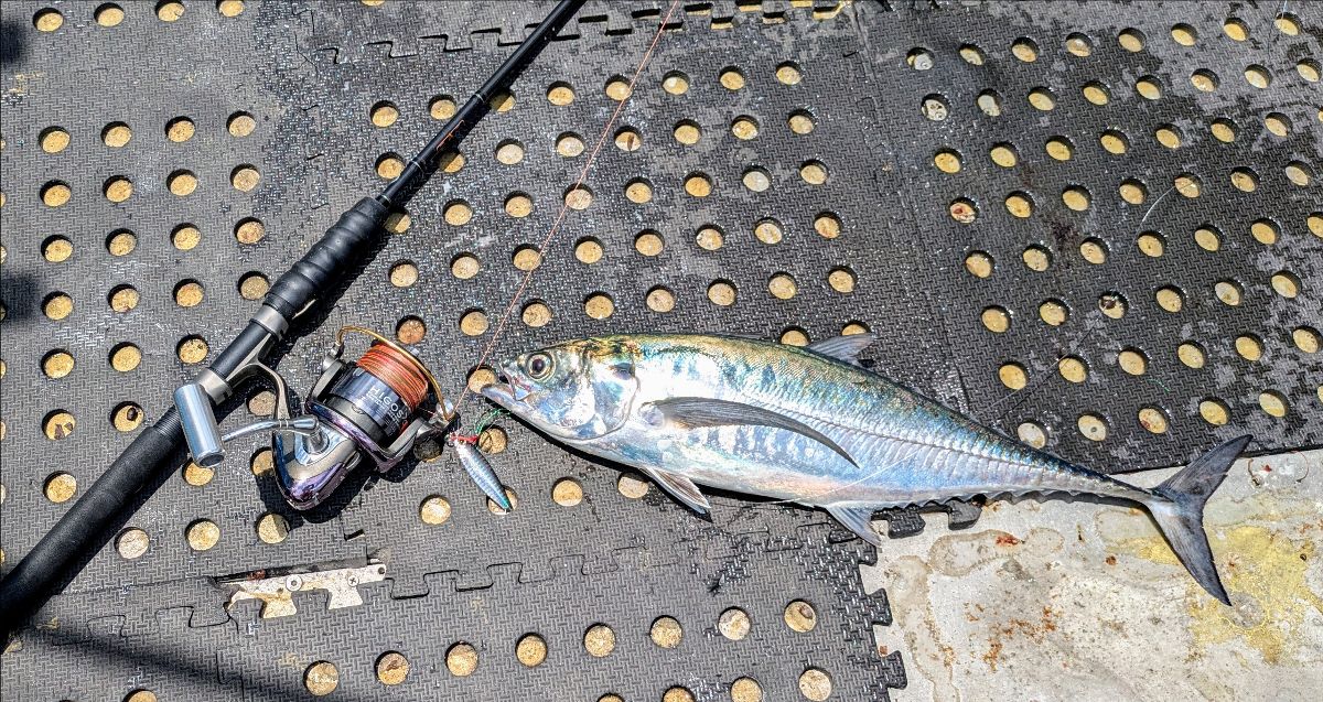 Jiggin' the Great Barrier Reef fishing photo 6