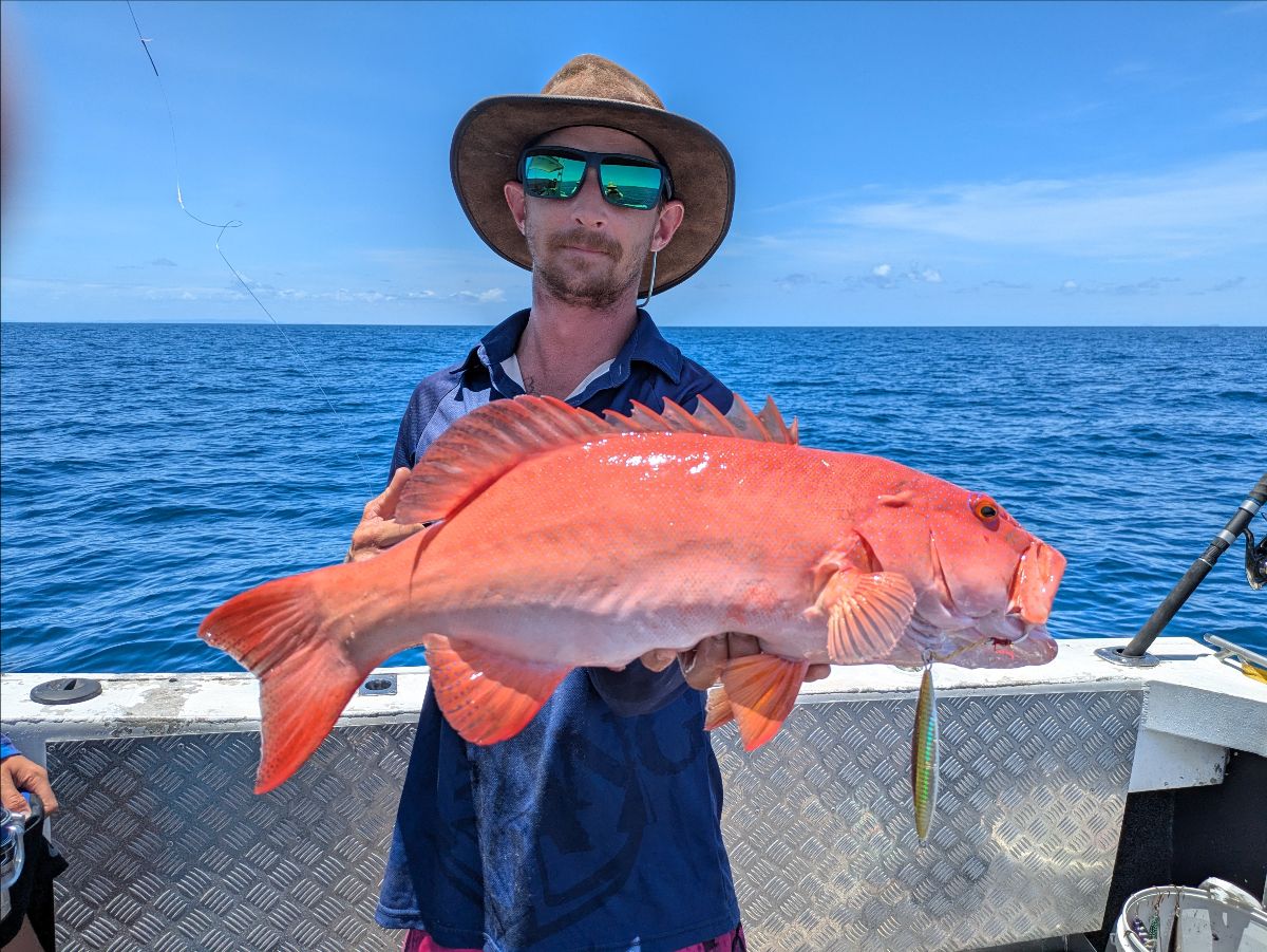 Jiggin' the Great Barrier Reef fishing photo 8