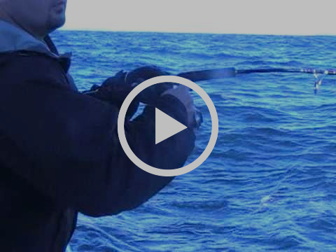 Jigging Time fishing photo 6