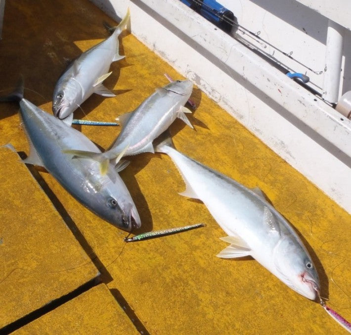 Jigging Time fishing photo 7