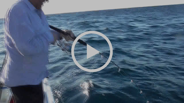 Jigging Time fishing photo 8