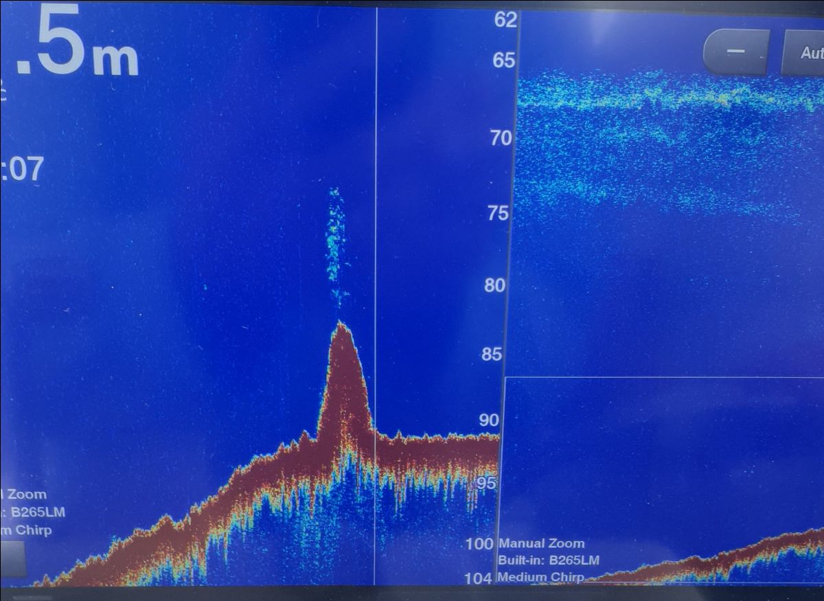 Sounder view of a 90 metre offshore pinnacle checked for kingfish on a Sydney jigging trip