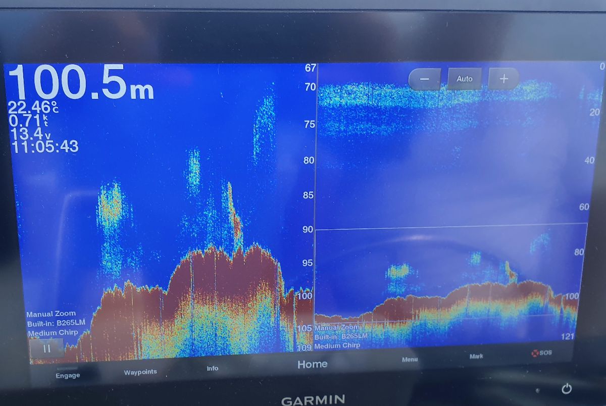 Fish finder showing kingfish marks around a Texas Reef pinnacle off Sydney