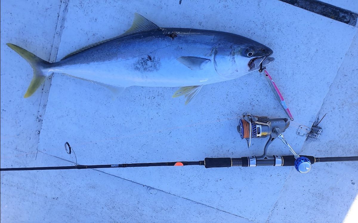 Kingfish caught on a 100 g jig at The Peak off Sydney