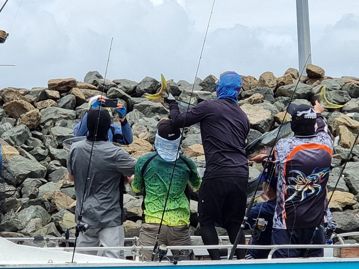 Jigging tackle and Sydney kingfish photographed after an offshore session in January 2022