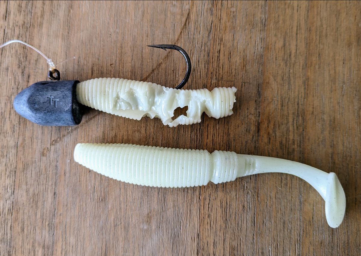 Jigs Only fishing photo 6