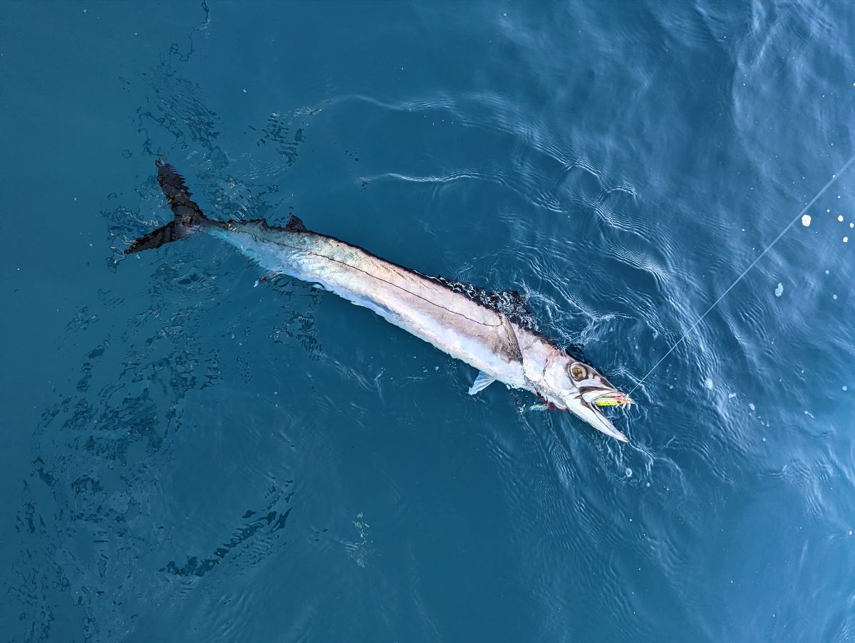 Jigs Only fishing photo 8