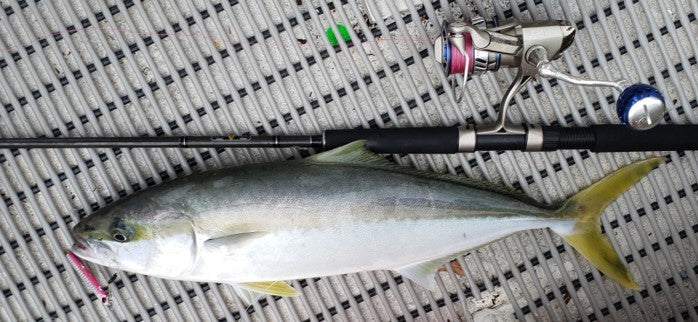 Just Rig A Jig fishing photo 7