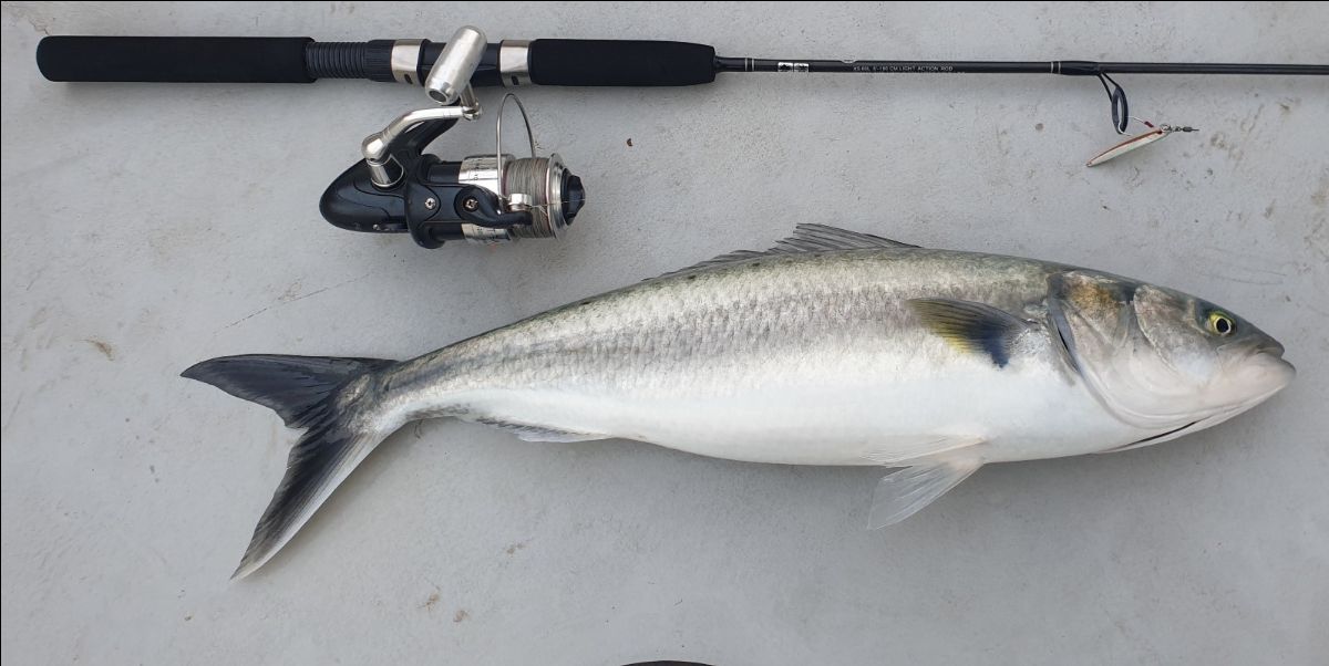 Just Rig A Jig fishing photo 13