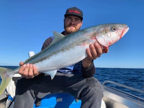 Kingfish and Carp fishing photo 6