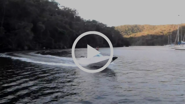 Kingfish and Carp fishing photo 14