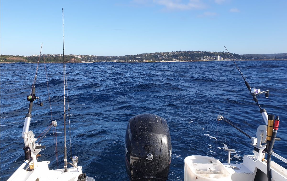 Kingie Week fishing photo 9