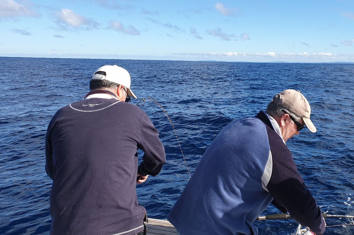 Kingie Week fishing photo 11