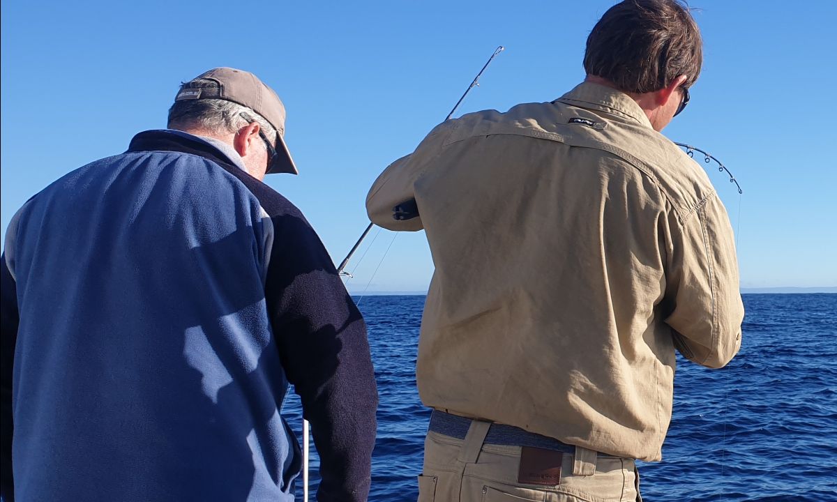 Kingie Week fishing photo 12