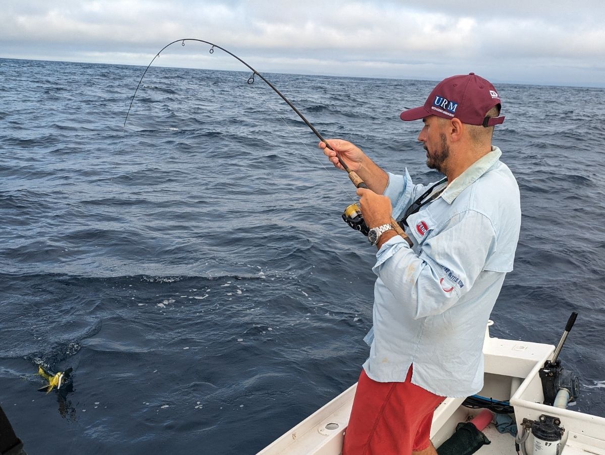 Kings and Mahi fishing photo 2