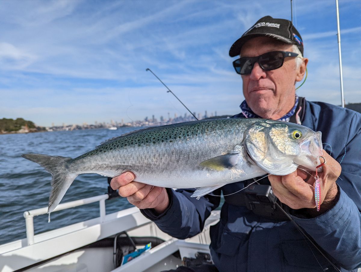 Kings and Mahi fishing photo 9