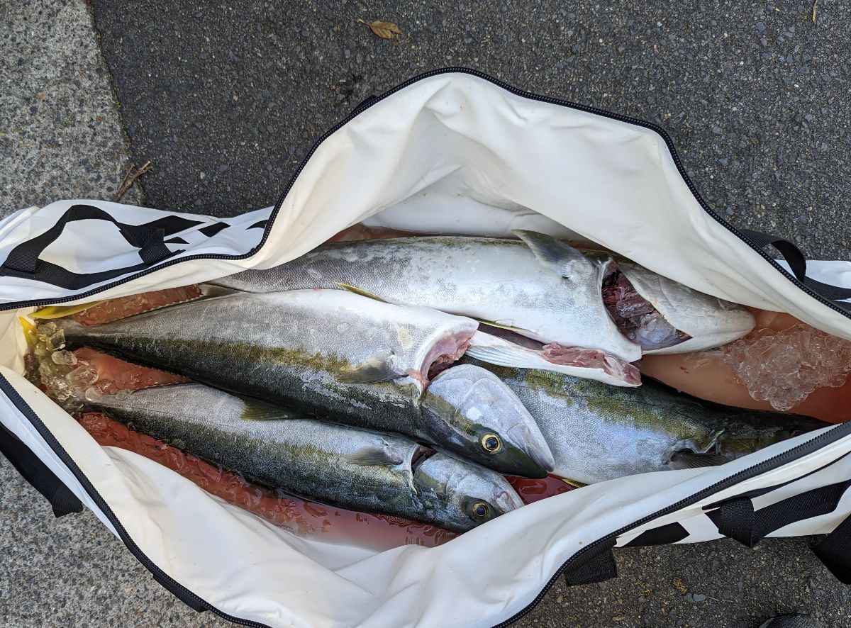 Kings 'n Mahi fishing photo 8