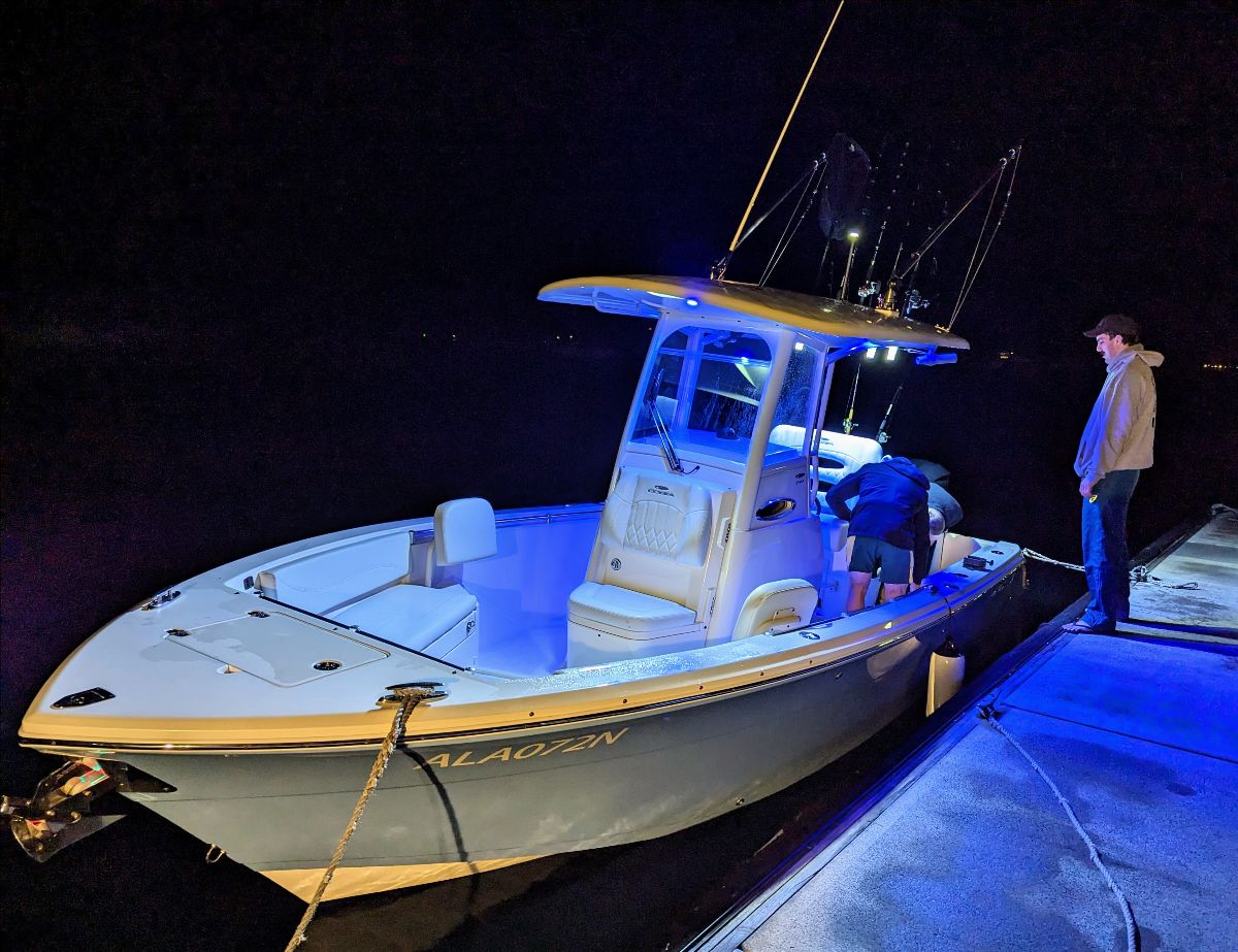 Kings on Jigs fishing photo 1