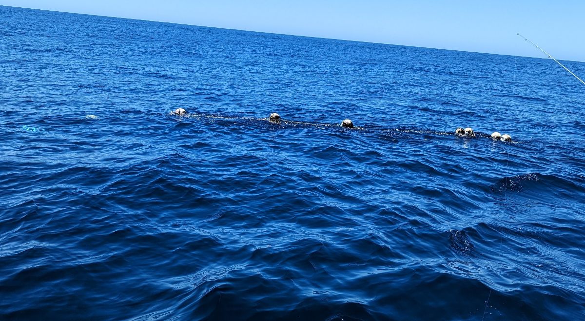 Kings on the Jigs fishing photo 8