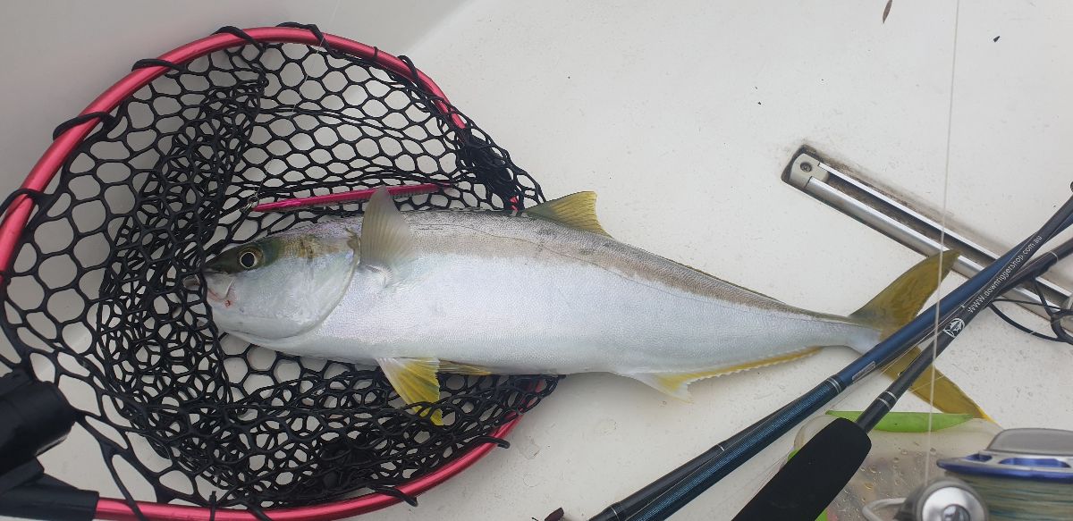 Korona Kingies fishing photo 1
