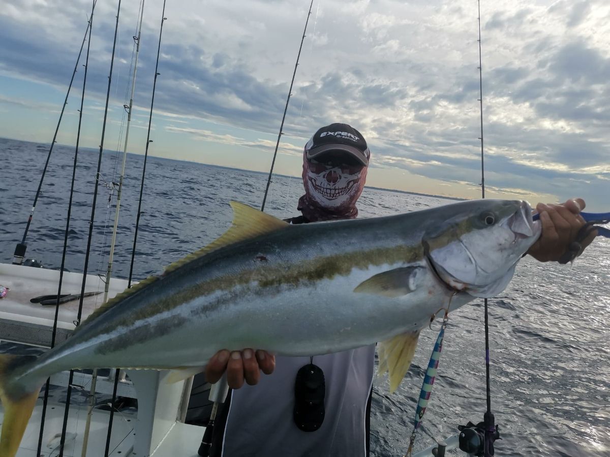 Korona Kingies fishing photo 4