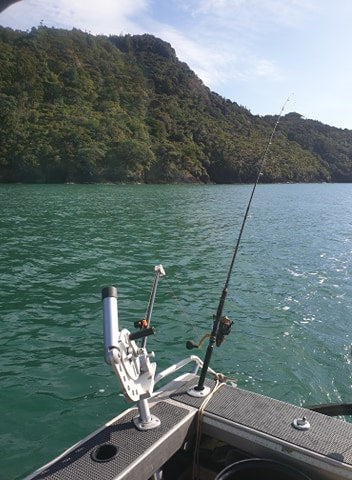 Korona Kingies fishing photo 9
