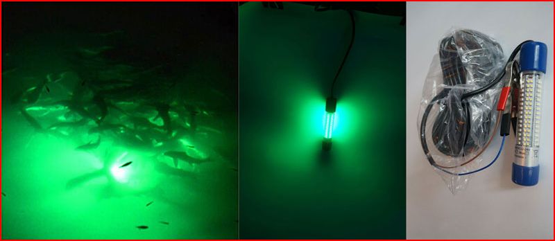 Light equals Squid equals Kingfish fishing photo 8