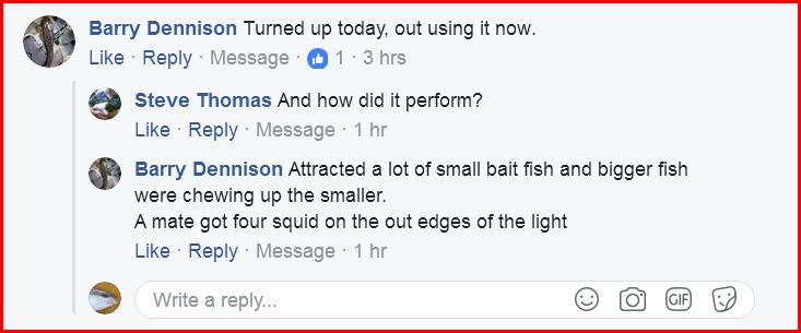 Light equals Squid equals Kingfish fishing photo 9