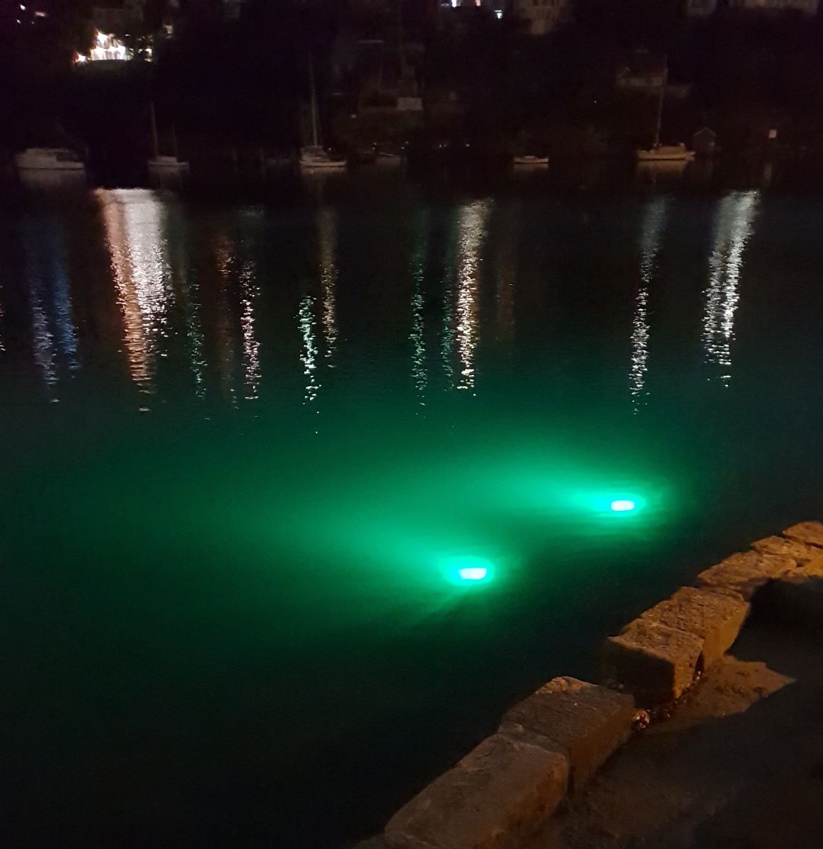 Light equals Squid equals Kingfish fishing photo 10