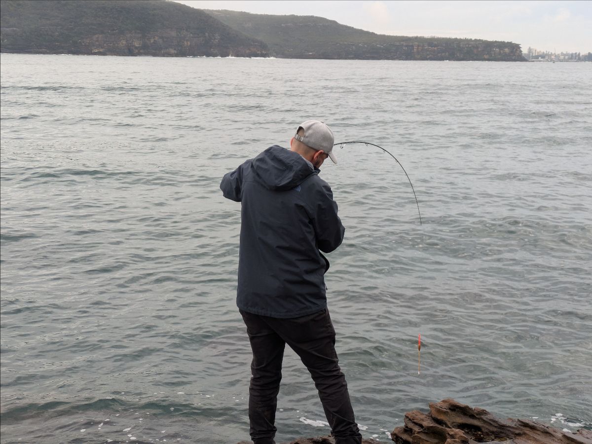 Luderick Lessons fishing photo 5