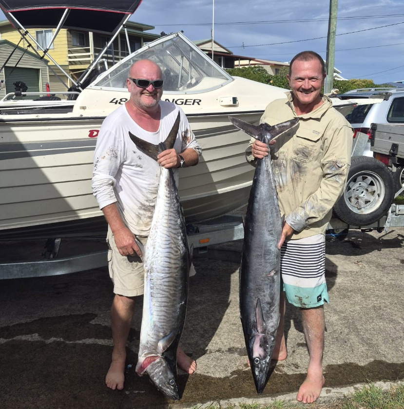 Mackerel, Kingfish and Sharks fishing photo 6