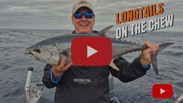 Mackerel, Kingfish and Sharks fishing photo 7