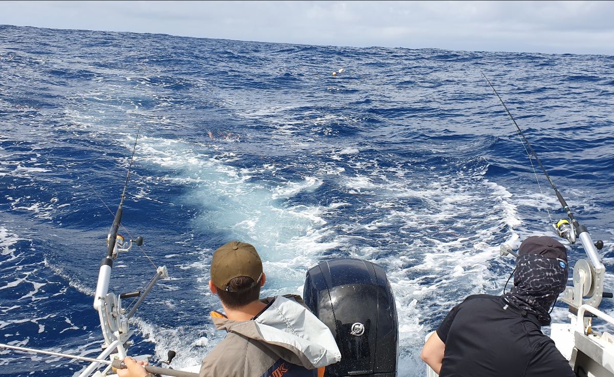 Mahi on the Trap Floats fishing photo 5