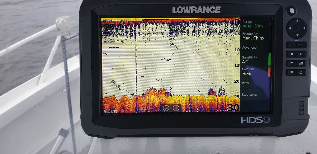 Mahi Week fishing photo 6