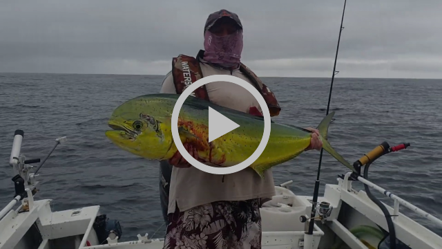 Mahi Week fishing photo 7