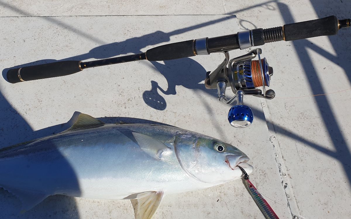 Make Jigging Great Again fishing photo 4