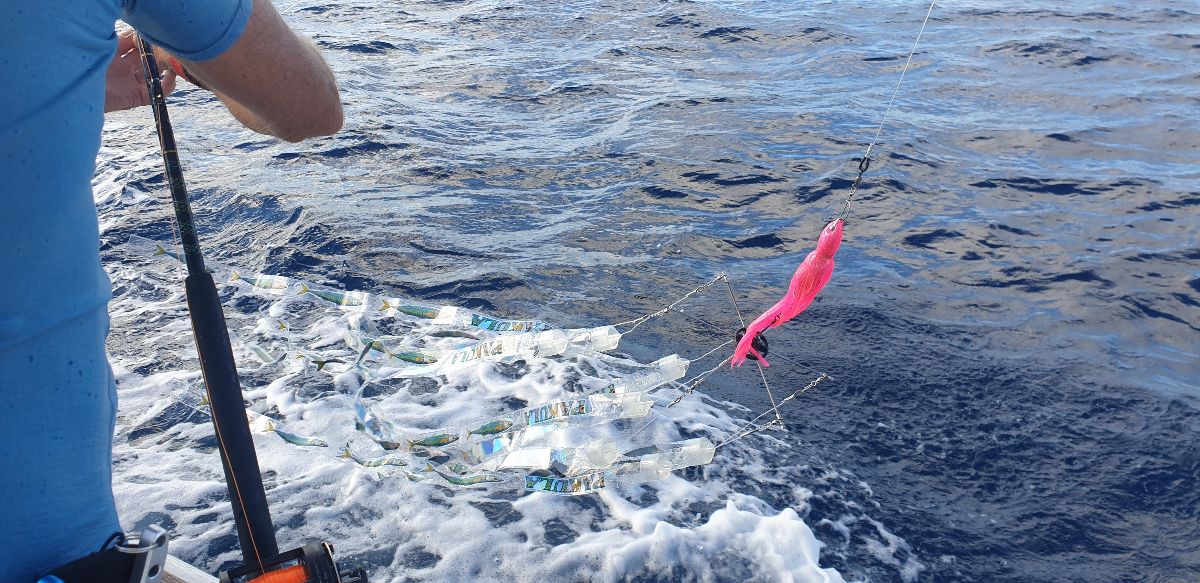 Marlin and Kingfish fishing photo 2