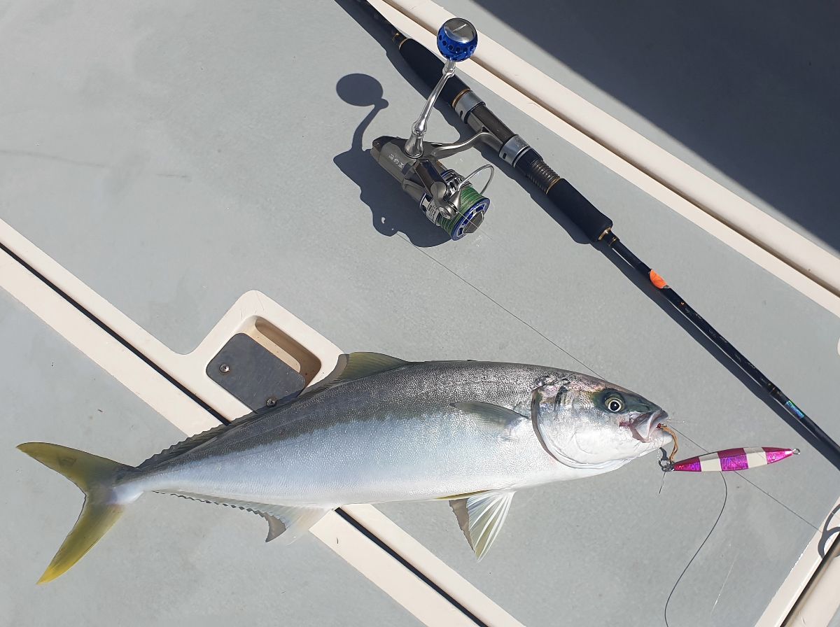Marlin and Kingfish fishing photo 11