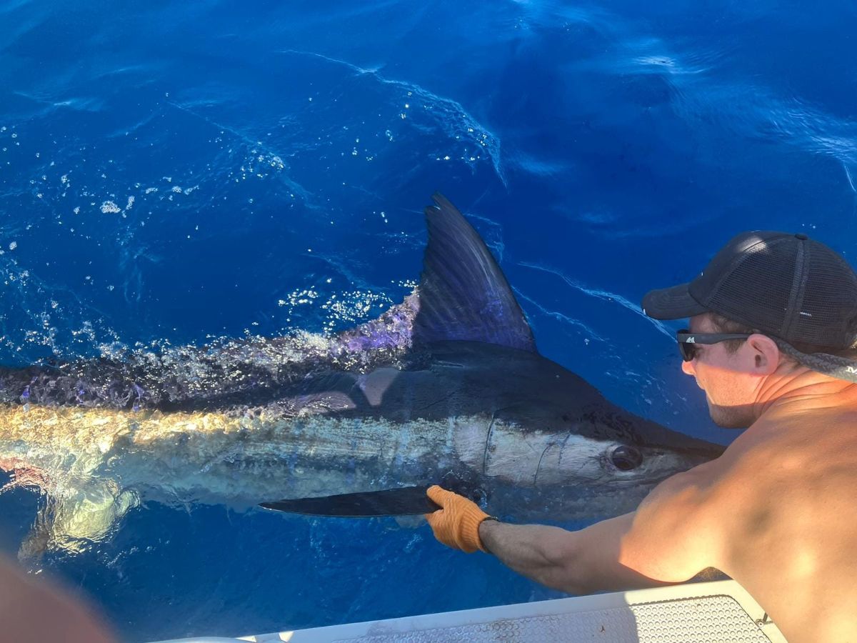 Marlin, Mahi and Mackerel fishing photo 12