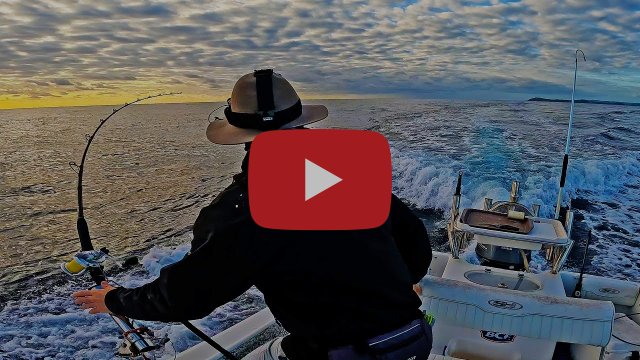 Maximising your Downrigger Catches fishing photo 6
