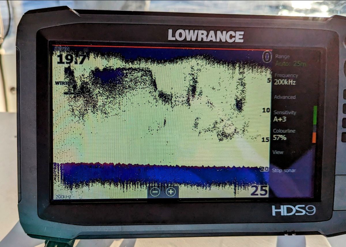 Maximising your Downrigger Catches fishing photo 8