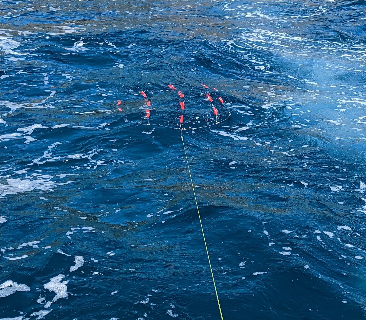 Maximising your Downrigger Catches fishing photo 9