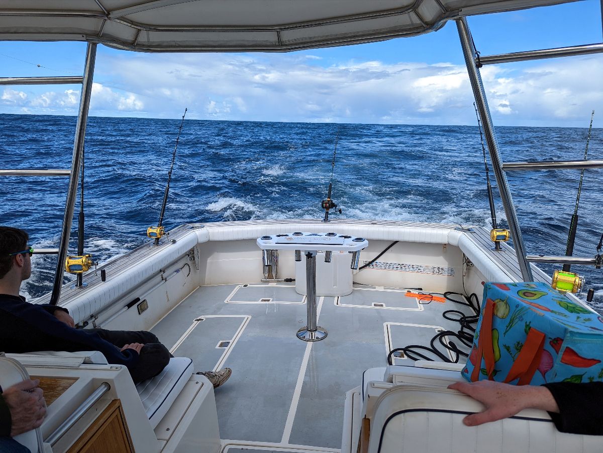 Midwinter Mahi (And Yellowfin Tuna) fishing photo 2