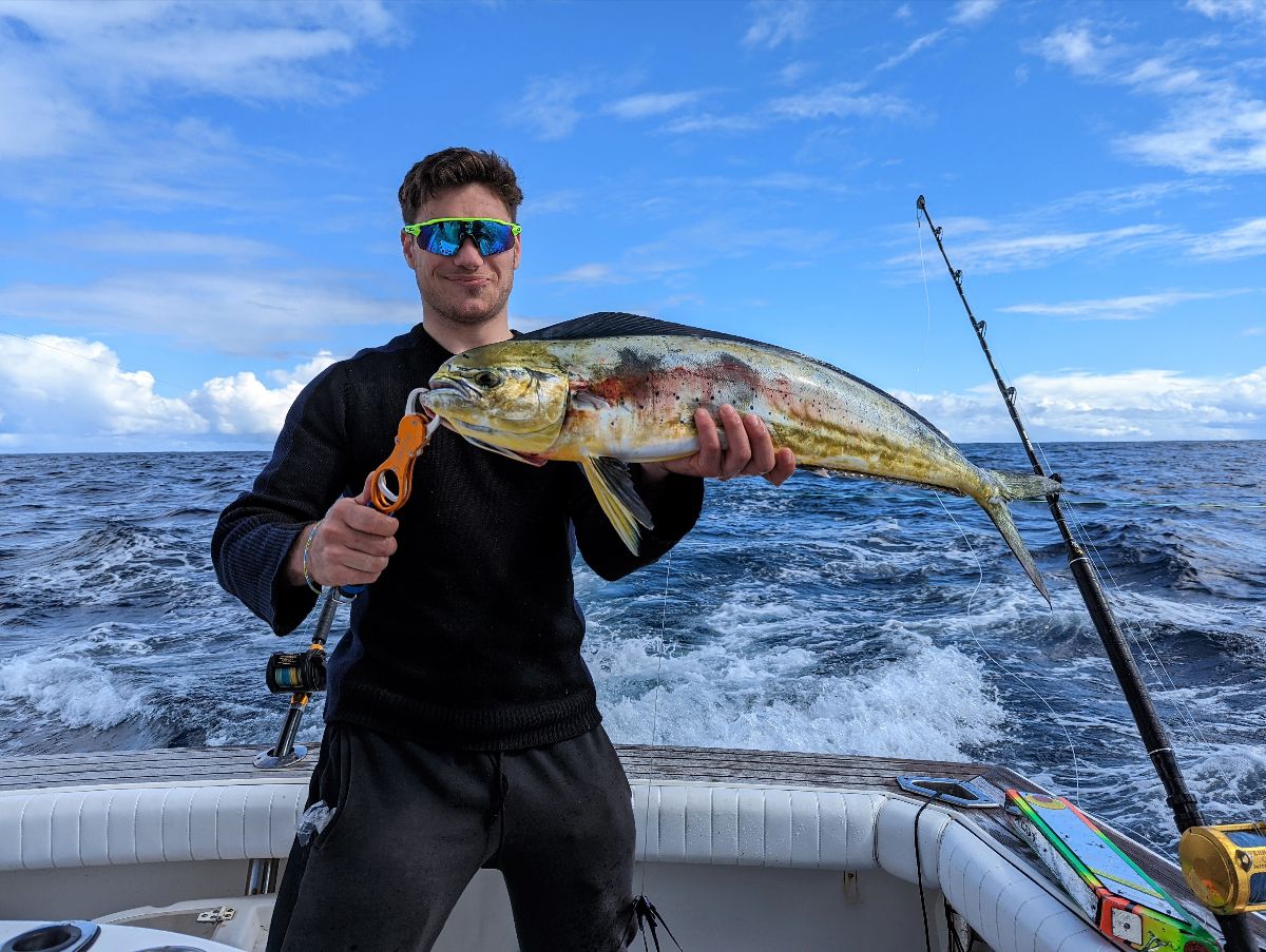 Midwinter Mahi (And Yellowfin Tuna) fishing photo 4